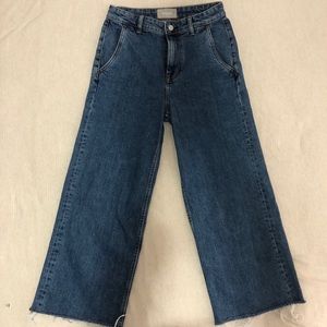 Everlane The Wide Leg Jean | 27R | raw hem